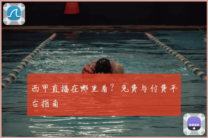 西甲直播在哪里看？免费与付费平台指南